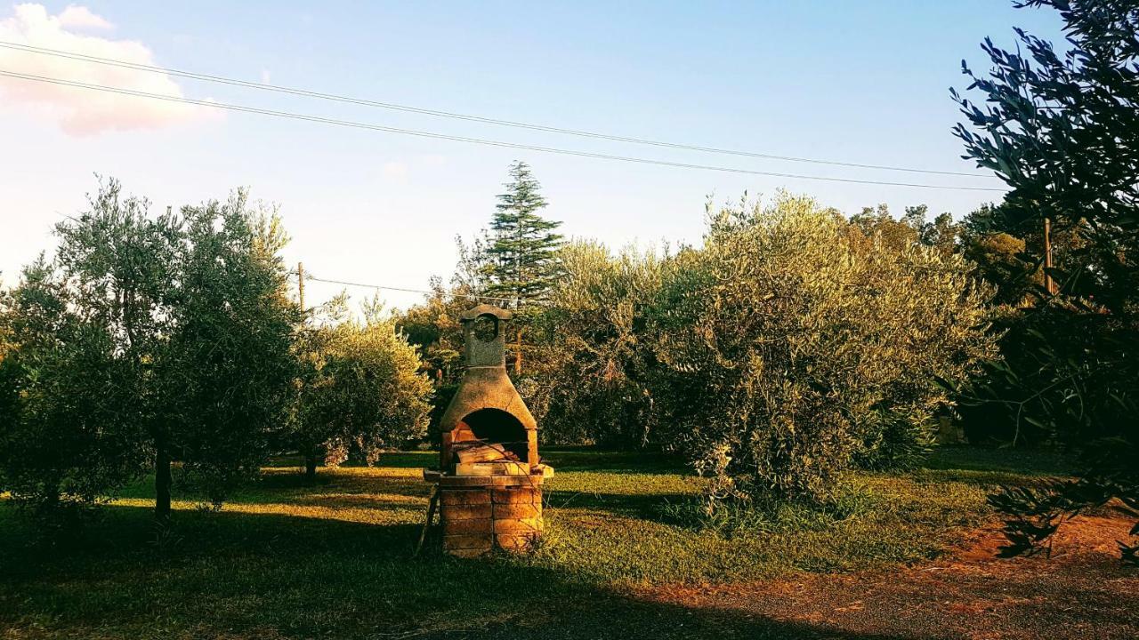 Casa Andreina Farm stay Castiglione della Pescaia